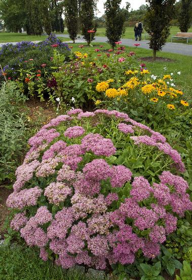 Gera ein Jahr nach der Buga 2007 von Jan-Peter Kasper