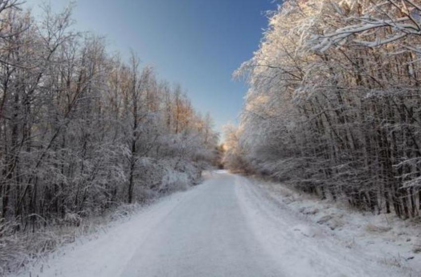 Jan Philipp Dietrich