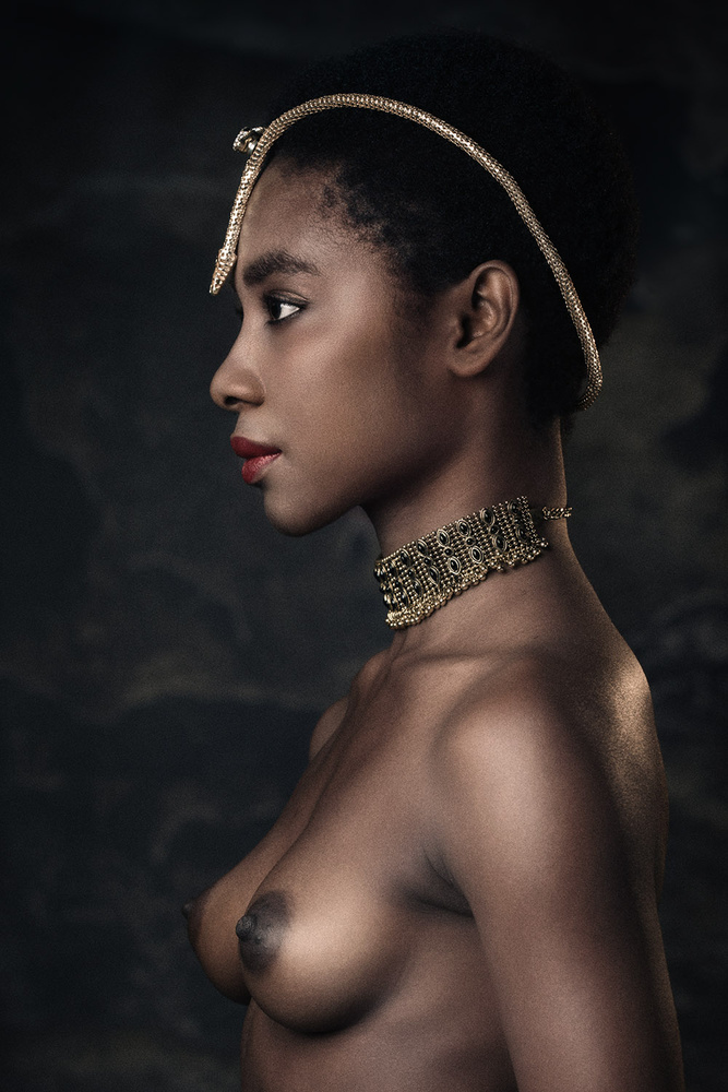 Golden Snake von Jan Slotboom