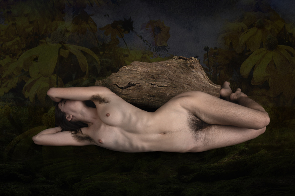 Natural von Jan Slotboom