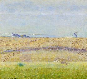 Nebel über dem Meer