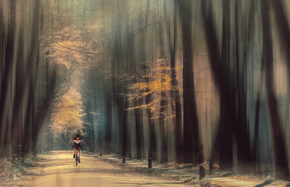 The lonely cyclist von Jan van der Linden