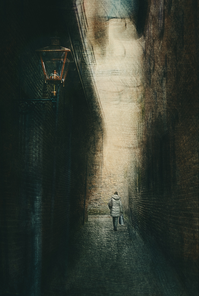 The alley von Jan van der Linden