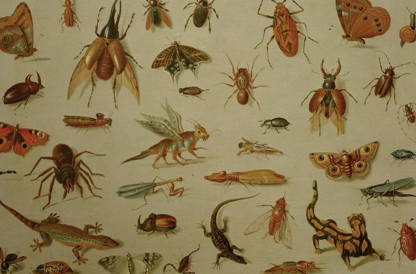 Jan van the Elder Kessel