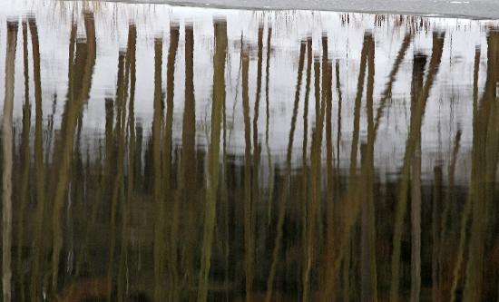 Die Zschopau im Winter von Jan Woitas