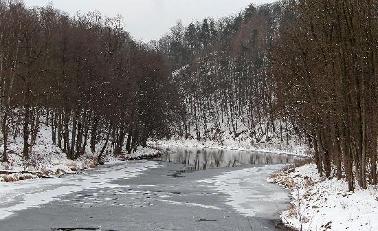 Die Zschopau im Winter von Jan Woitas