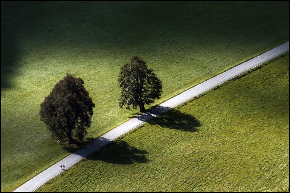 A walk in the park von Jan Zajc