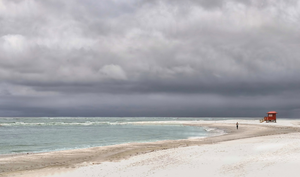 Ocean  Park von Jane Lyons