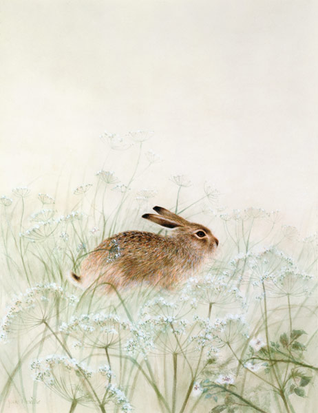 Rabbit  von Jane  Neville