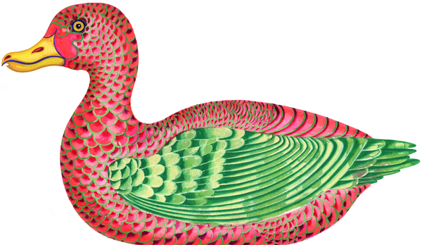 Duck von Jane Tattersfield