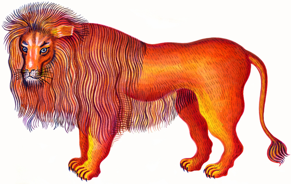 Leo the Lion von Jane Tattersfield