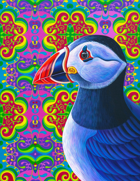 Puffin von Jane Tattersfield