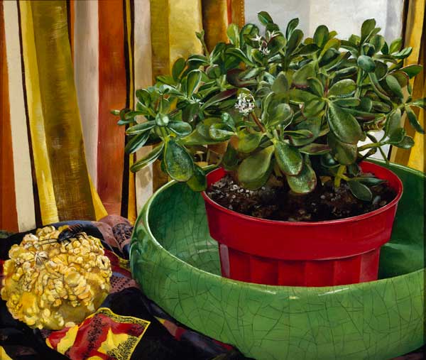 Jade Plant von Janine Roux