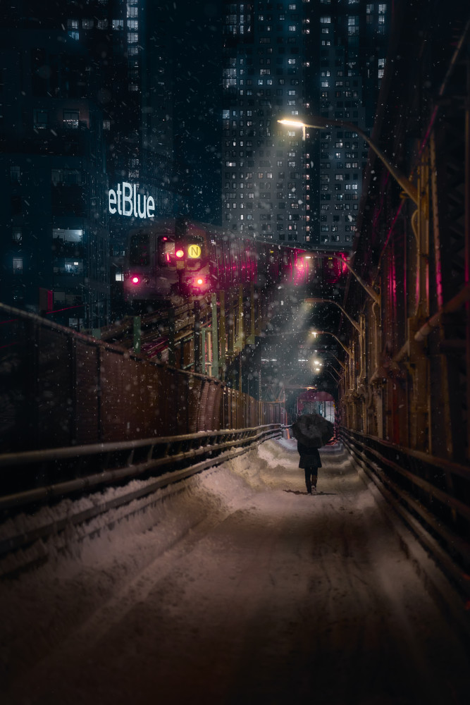 The Bridge Path von Javier de la Torre