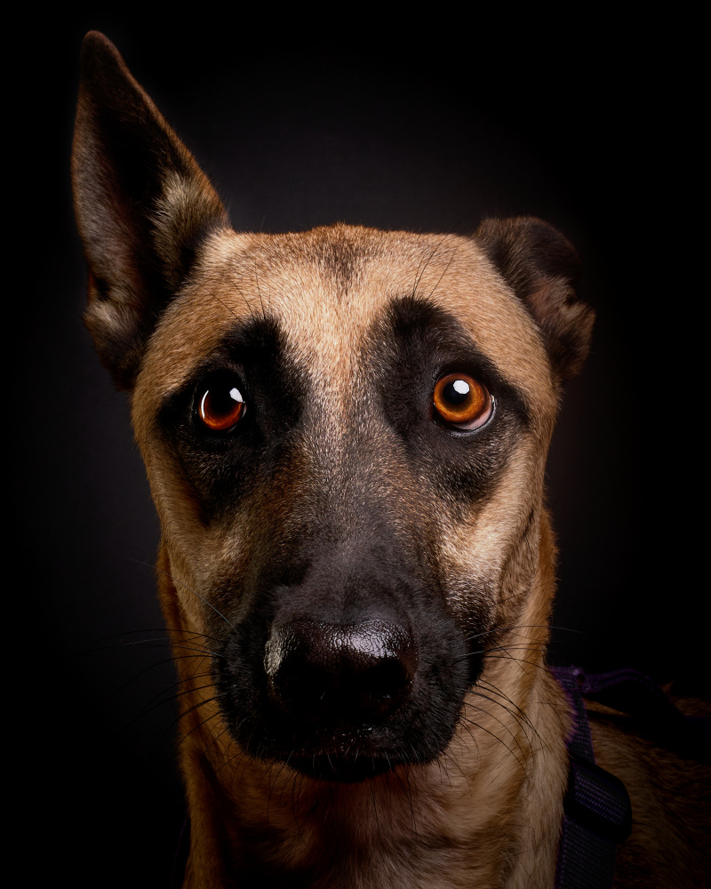 Rescue von Javier del Puerto Photography