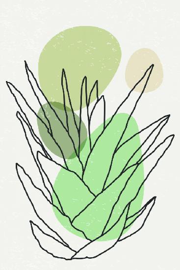 Color Abstract Agave #2