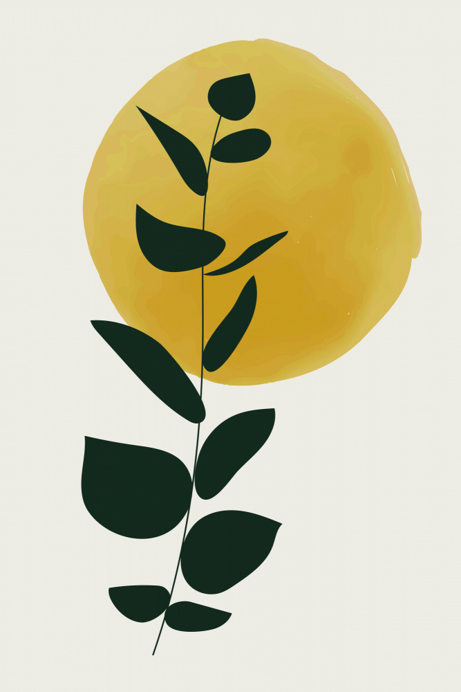 Color Botanicals #1 von jay stanley