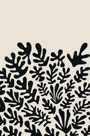 Henri Matisse Black Algae Collection #2