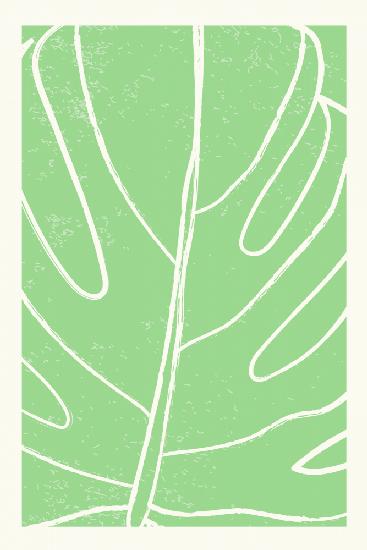 Minimal Monstera Collection #1