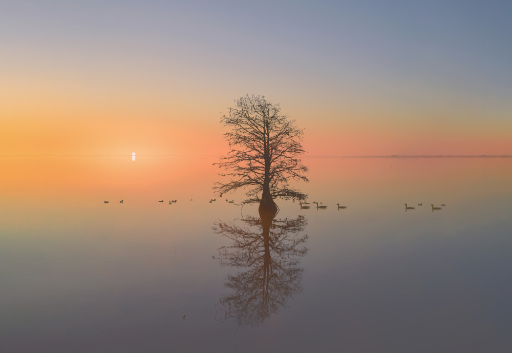 The First Sunrise of 2023 von Jay Wang