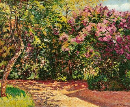Lilac, the Artist''s Garden