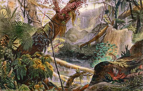 Serra do Mar von Jean Baptiste Debret