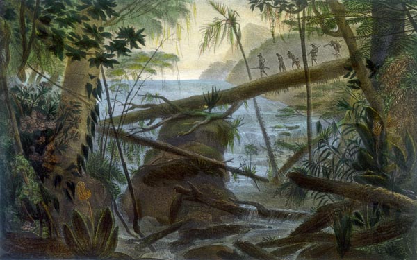 Rio Parnaíba von Jean Baptiste Debret