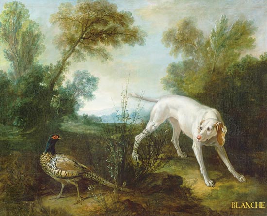 Blanche, Bitch of the Royal Hunting Pack von Jean Baptiste Oudry