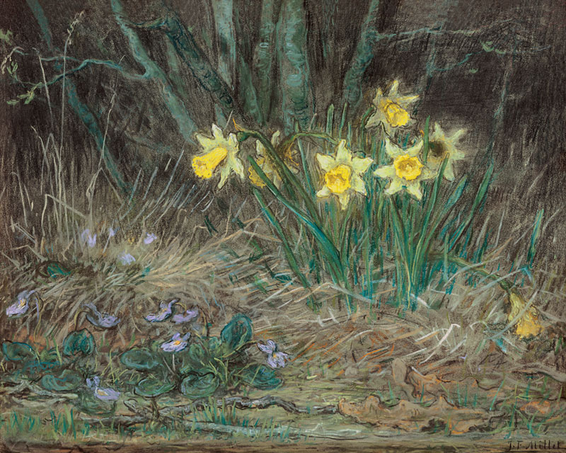 Narcissi and Violets von Jean-François Millet