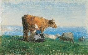 Eine normanische Frau melkt Kühe