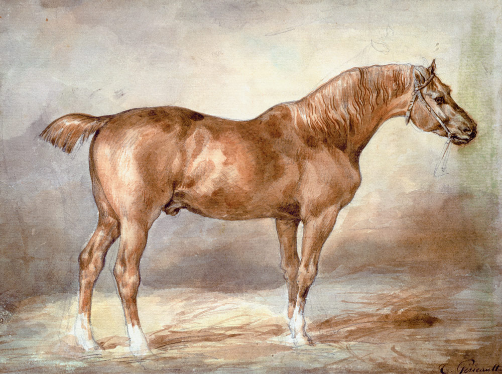 A docked chestnut horse von Théodore Géricault