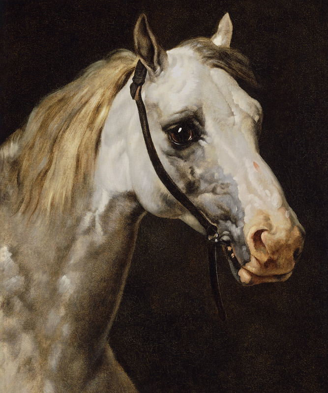 Pferdekopf. von Théodore Géricault
