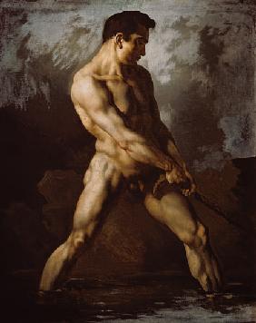 Aktstudie eines seilziehenden Mannes.