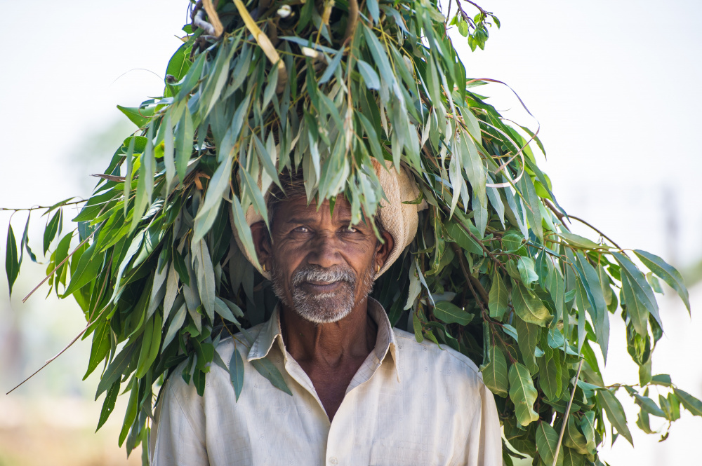Farmer von Jean Vandijck