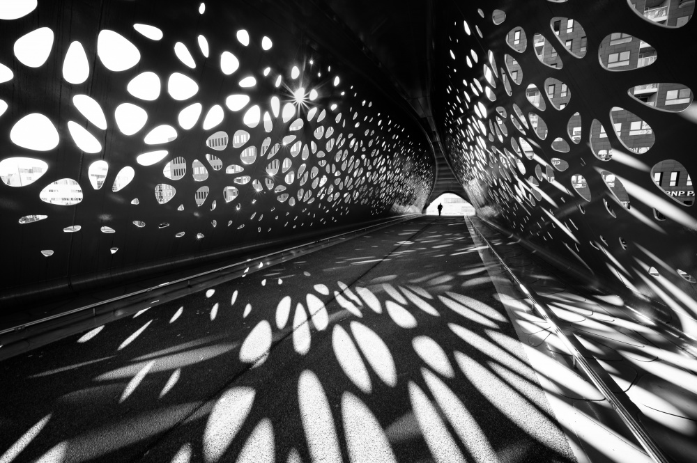 Parkbrug von Jean Vandijck