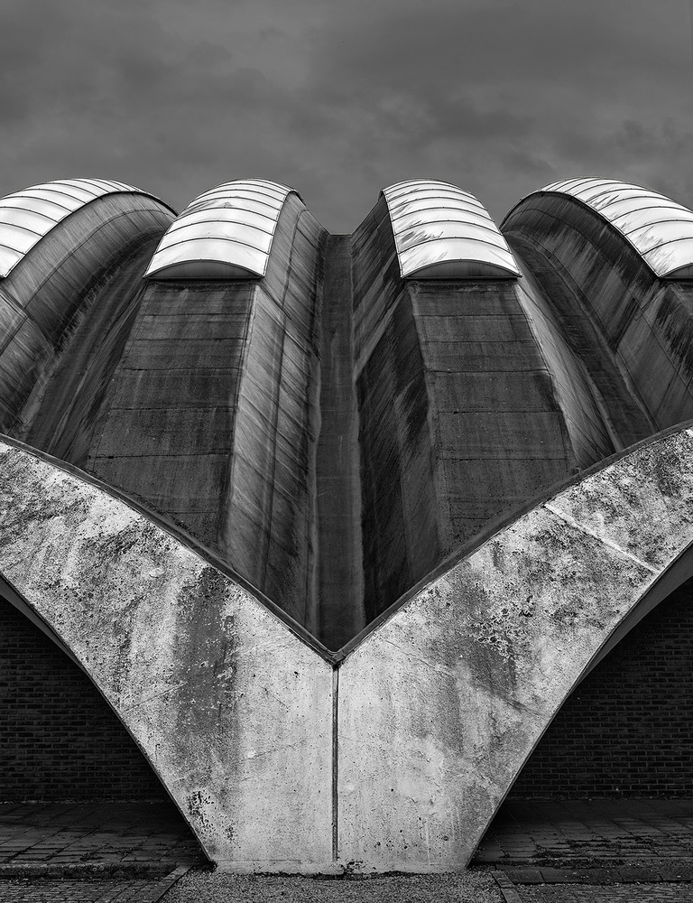 The butterfly von Jef Van den Houte