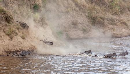 The chaotic dash....