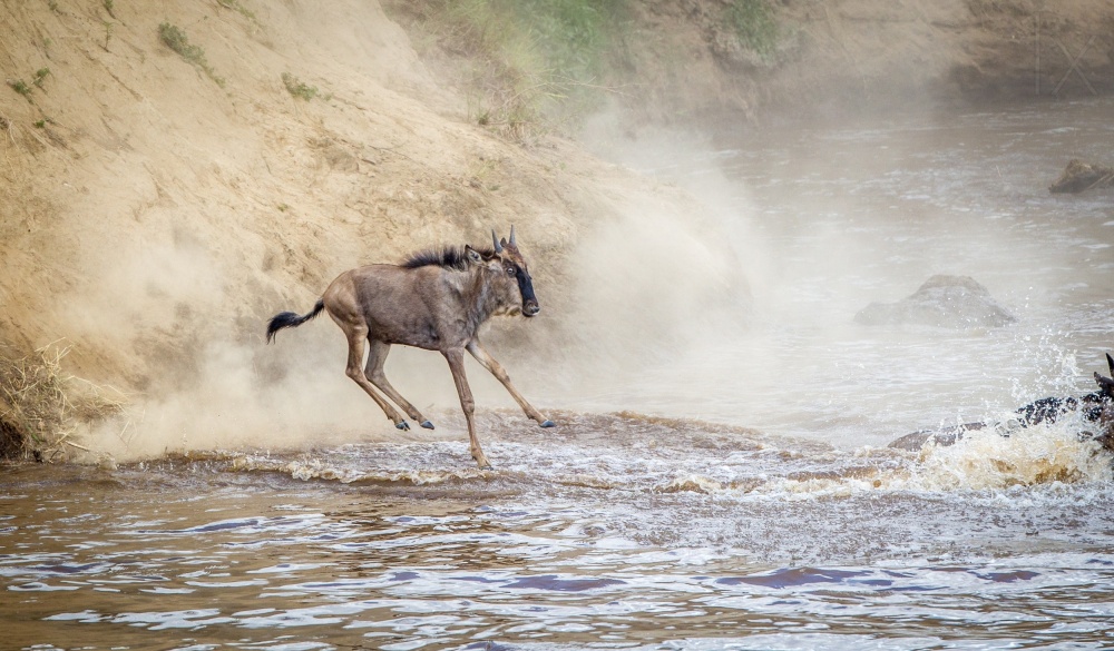 "Holy Crap" von Jeffrey C. Sink