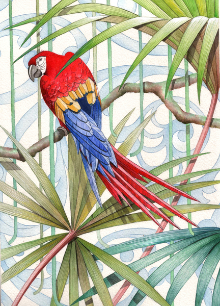 Parrot von Jenny Barnard