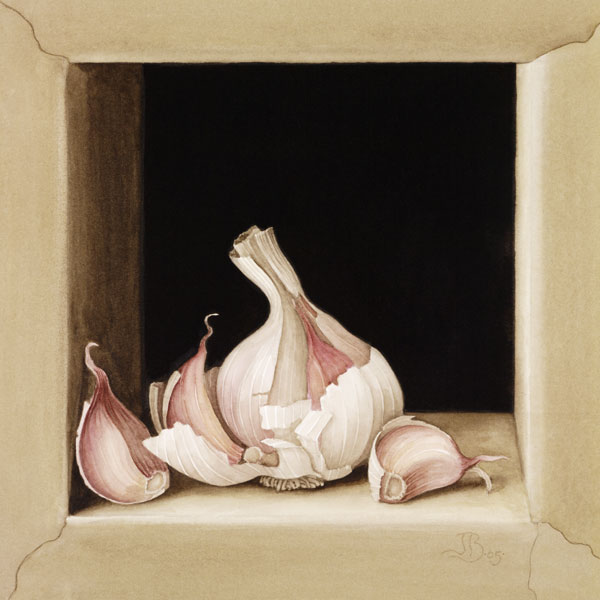Garlic, 2005 (w/c on paper)  von Jenny  Barron