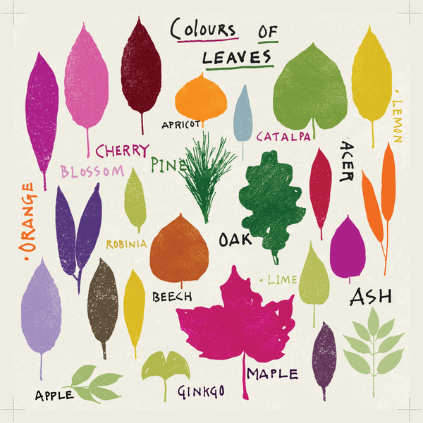 Colours of Leaves von Jenny Frean