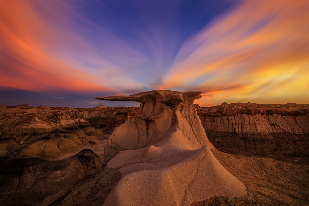 Dusk at the Wings von Jenny Qiu