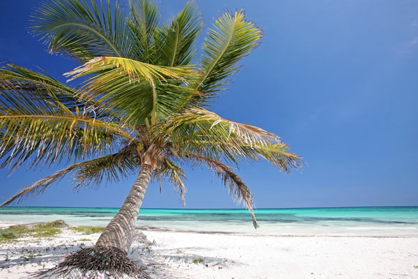 Paradies von Jenny Sturm