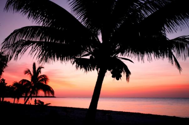 ganz früh von Jenny Sturm