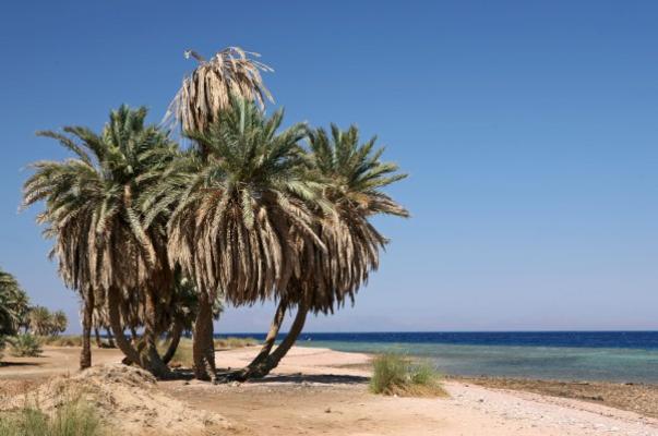 Strand von Jenny Sturm