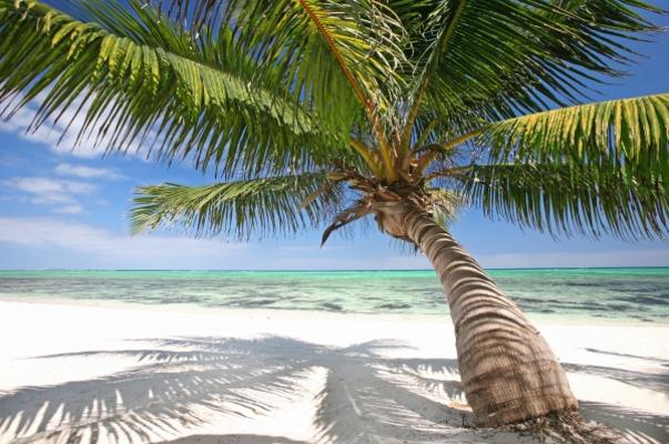 Strandidylle von Jenny Sturm