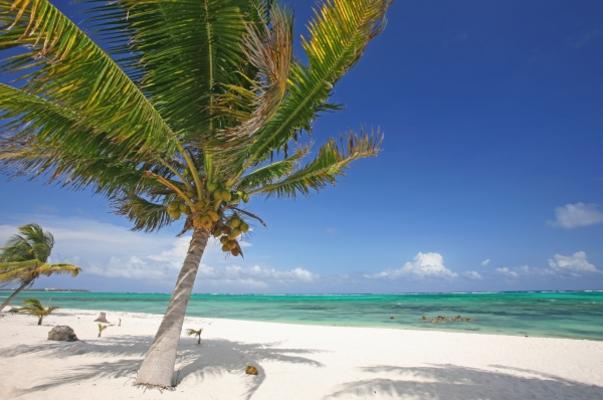 Urlaub von Jenny Sturm