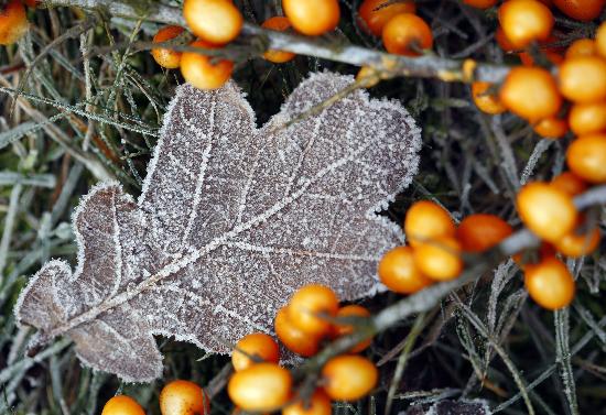 Schloss Ludwigslust von Jens Büttner