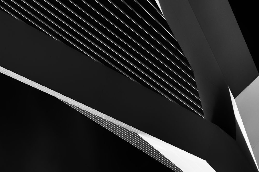 Abstraktion eines Schwans von Jeroen Van de