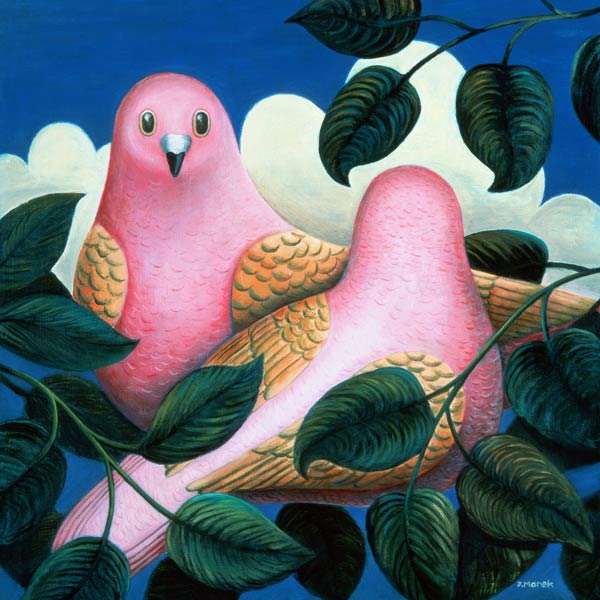 In the Pink von Jerzy  Marek